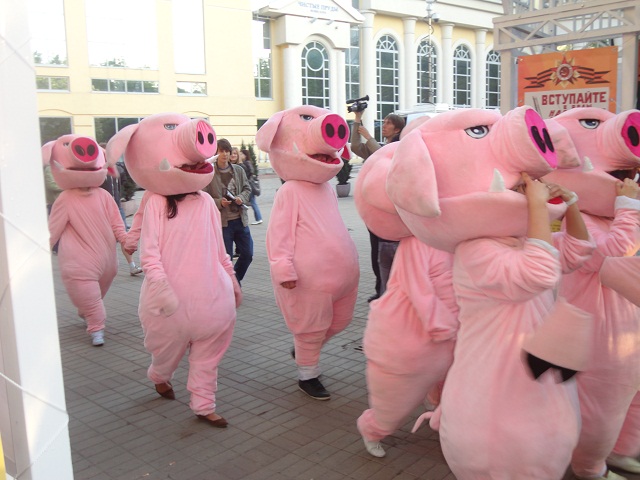 Свинка в костюме