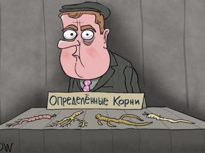 Медведев-публицист и "определенные корни". Карикатура С.Елкина: dw.com