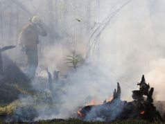 Последствия лесных пожаров в Якутии в 2021 году. Фото: пресс-служба ФБУ 
